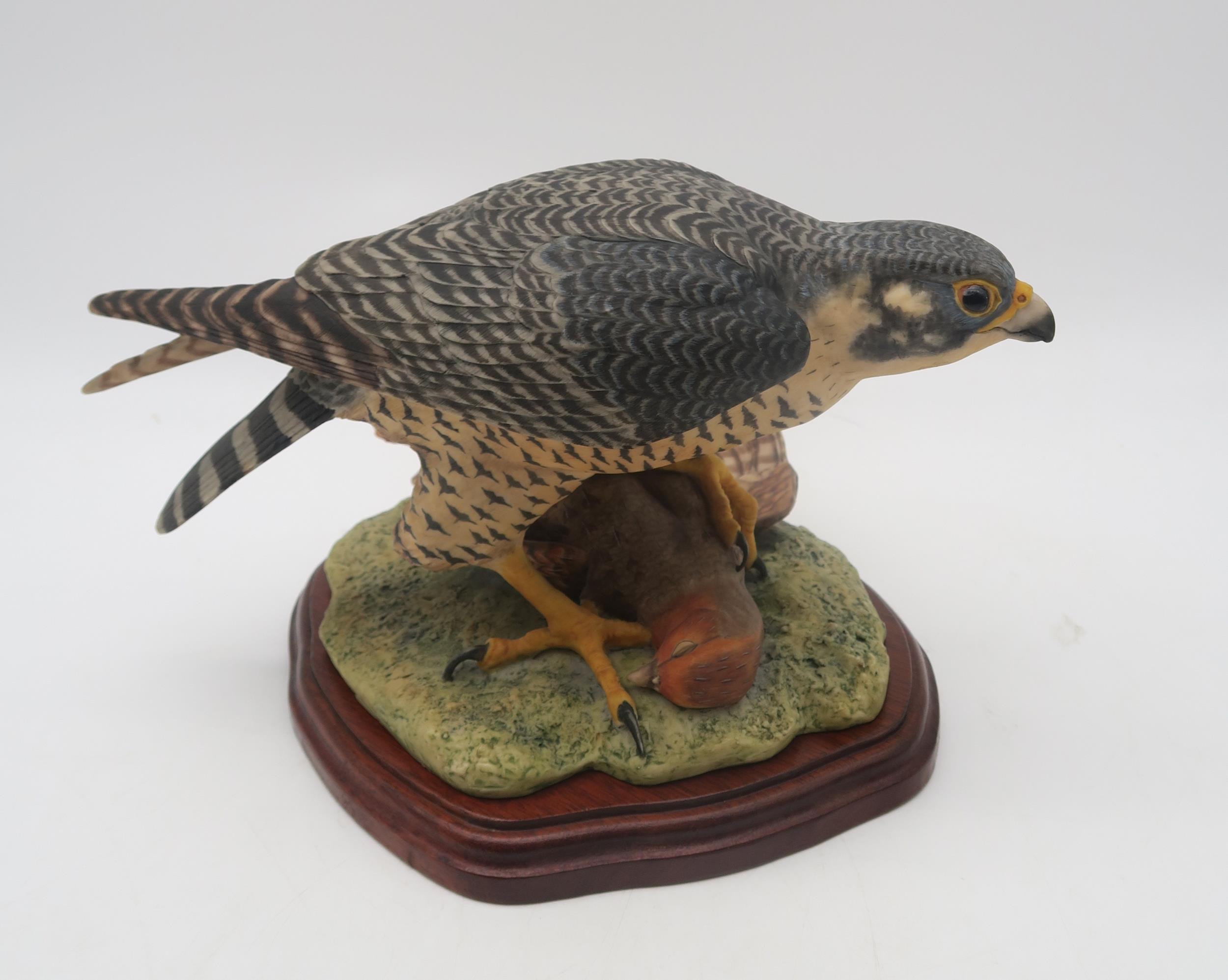 A Limited Edition Border Fine Arts group Peregrine Falcon designed by Victor Hayton, no 152/250 with - Image 2 of 4