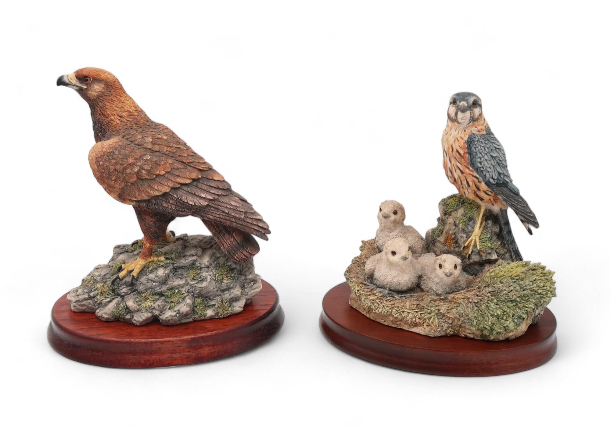 A group of Border Fine Arts models of birds of prey including an Osprey, Kestrel and chicks, - Image 2 of 5