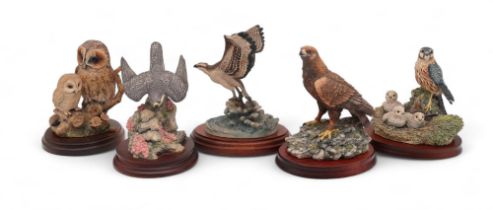 A group of Border Fine Arts models of birds of prey including an Osprey, Kestrel and chicks,