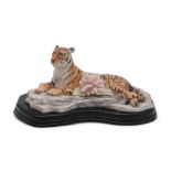 A Border Fine Arts Finesse porcelain model of a Tiger, titled Rajah, no 95/300 from The Imagined