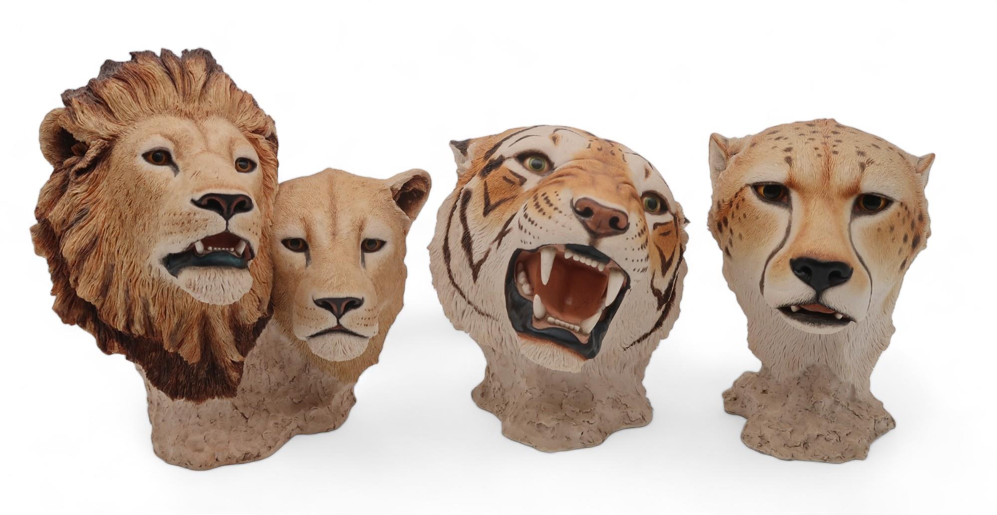 A Sherratt & Simpson life size head of a tiger, together with smaller examples of Lions, Cheetah and - Image 3 of 3