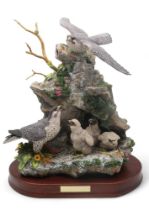 Border Fine Arts group Call of the Falcon (Peregrine Falcon and Chicks), model No. L162 by Ray