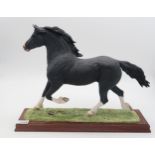 A Border Fine Arts limited edition horse, Black Welsh Cob, model number B1035A, by David Mayer, with