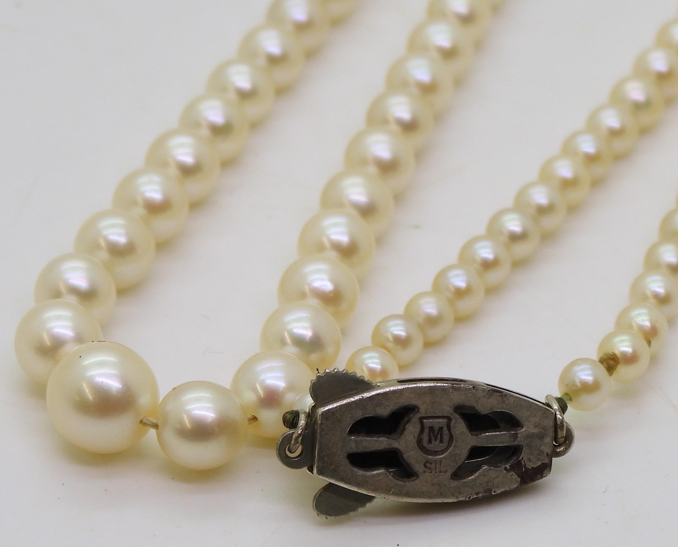 A 46cm string of Mikimoto pearls with silver pearl set Mikimoto branded clasp, in original box - Image 3 of 6