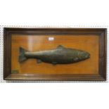 A heavy cast metal salmon wall plaque, measuring approx. 82cm x 42cm; together with a framed print