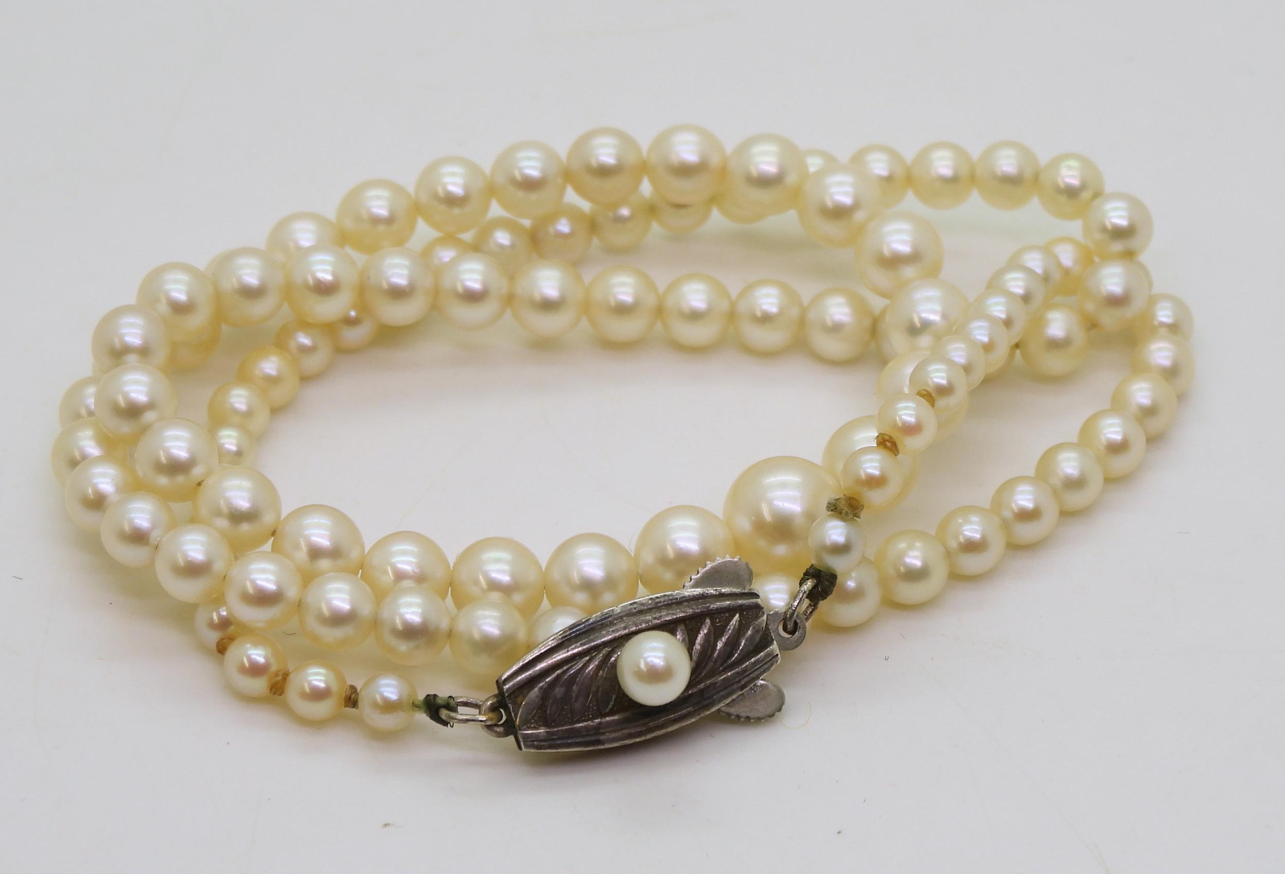 A 46cm string of Mikimoto pearls with silver pearl set Mikimoto branded clasp, in original box - Image 2 of 6