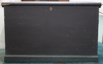 A large 20th century pine chest with pair of carry handles either end on plinth base, 80cm high x