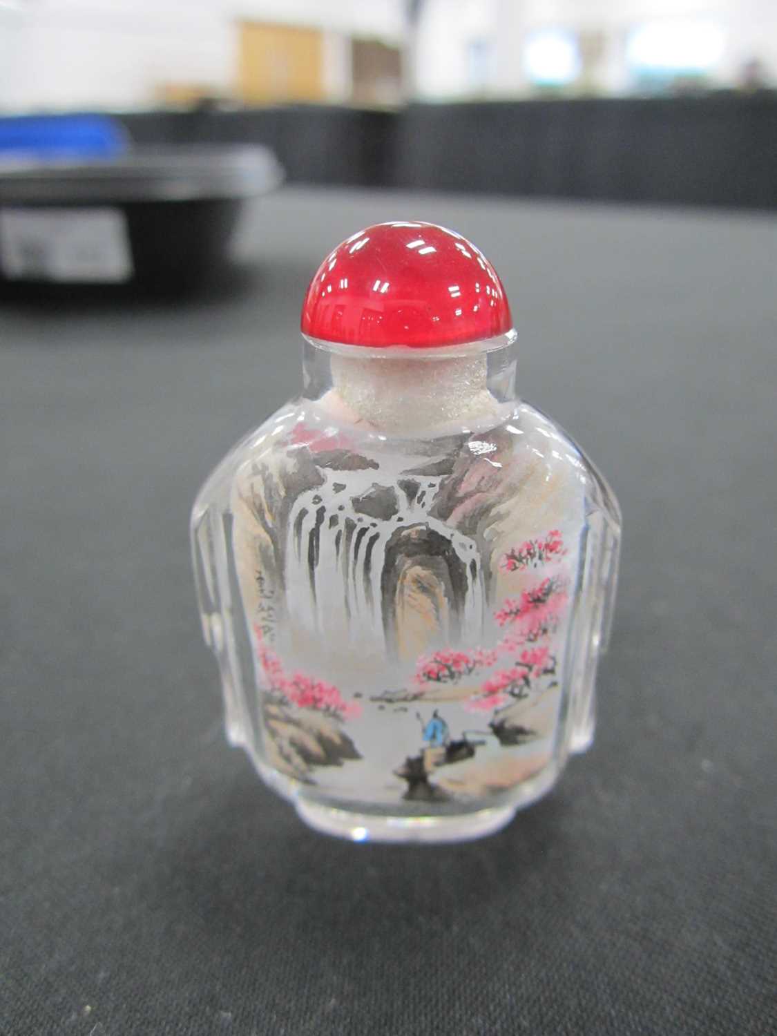 A group of five Chinese internally painted glass snuff bottles, 19th/20th century - Image 9 of 13