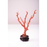 A Chinese coral carving of a prunus tree, Qing Dynasty