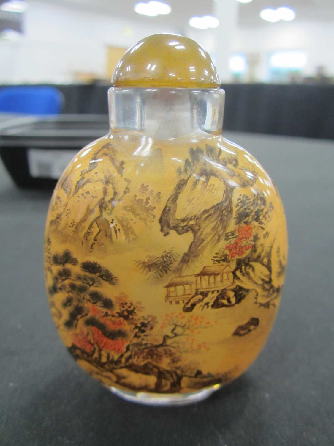 A group of five Chinese internally painted glass snuff bottles, 19th/20th century - Image 3 of 13