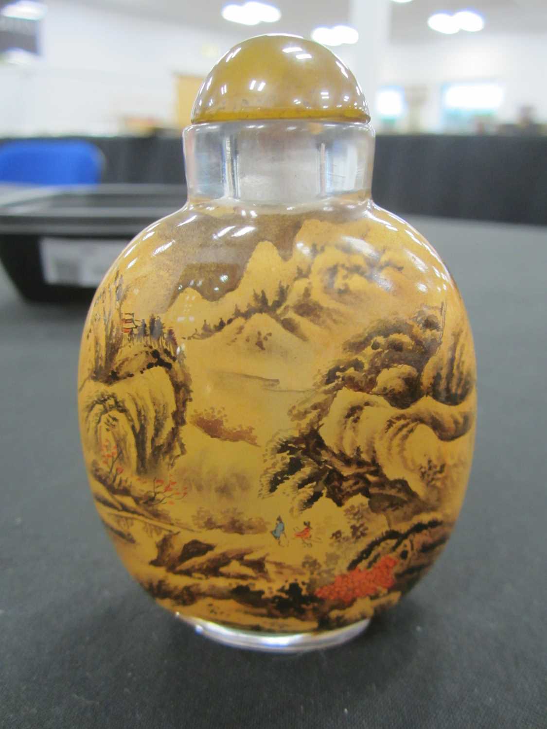 A group of five Chinese internally painted glass snuff bottles, 19th/20th century - Image 13 of 13