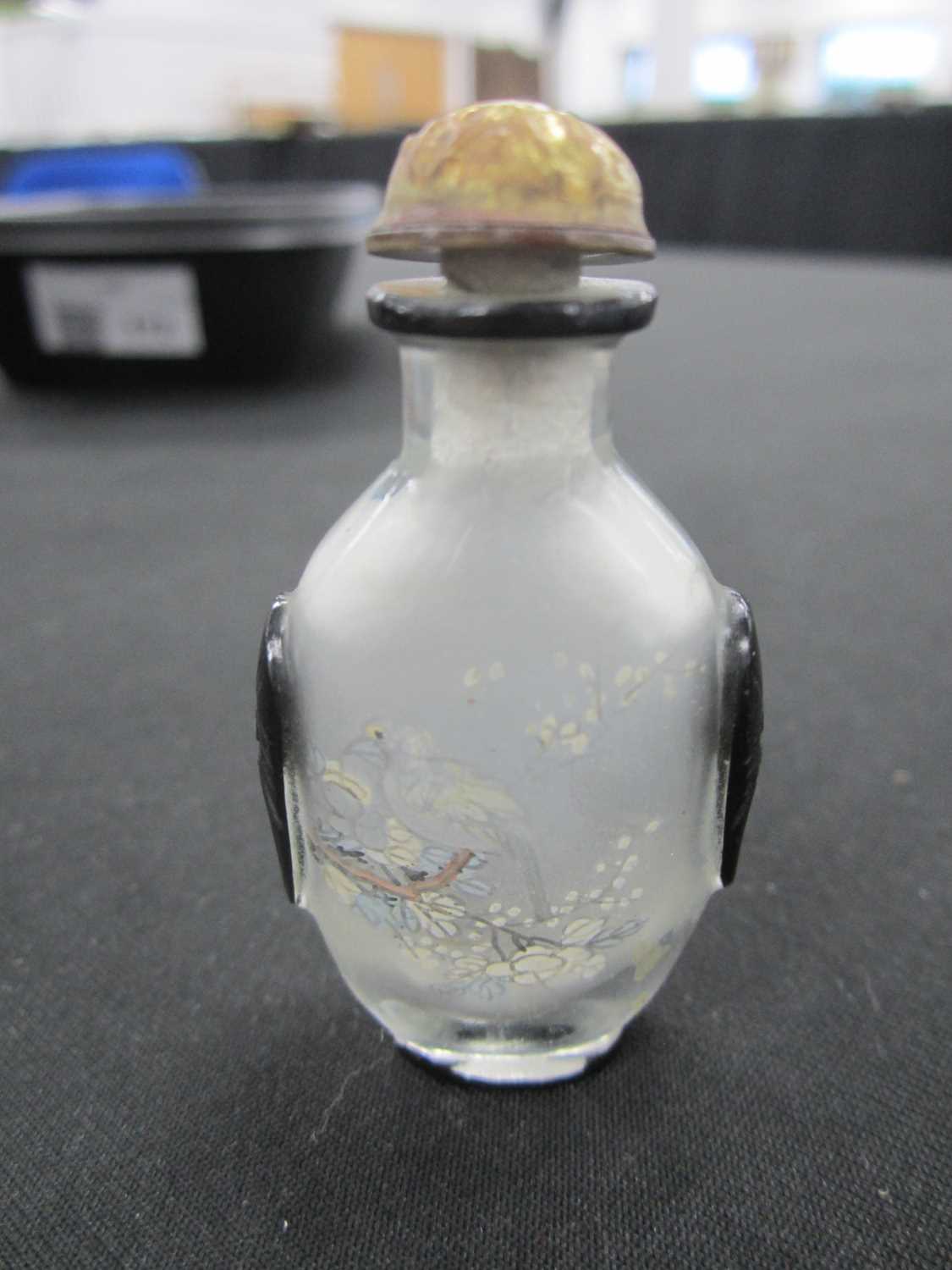 A group of five Chinese internally painted glass snuff bottles, 19th/20th century - Image 5 of 13