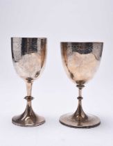 Two silver goblets