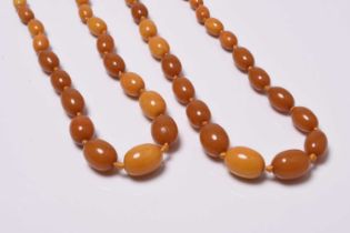 Two graduated oval amber bead necklaces