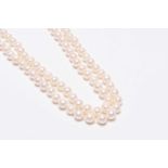 A single strand uniform cultured pearl necklace