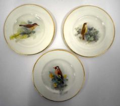 Royal Worcester set of three plates painted with garden birds, Thrush, Goldfinch and Nightingale,