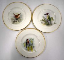 Royal Worcester set of three plates painted with garden birds, Chaffinch, Wren and Woodpecker,