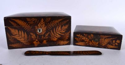 A VICTORIAN FERNWARE TREEN JEWELLERY BOX together with a smaller box and letter opener. Largest 21