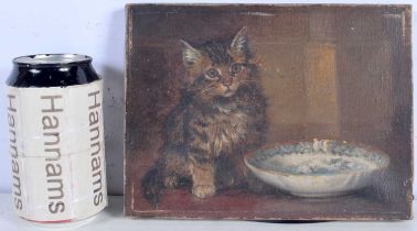 Wilson Herbert (British Active 1881- 1917) Small oil on canvas of a Kitten 15 x 20 cm .