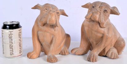 A pair of carved wood English Bulldogs 19 cm (2).