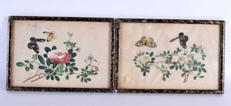 Chinese School (19th Century) Pair, Pith paper, butterflies in landscapes. 26 cm x 20cm.