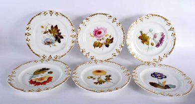 A SET OF SIX EARLY 19TH CENTURY ENGLISH PORCELAIN BOTANICAL PLATES. 21 cm diameter. (6)