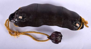 A Japanese Carved Hardwood Inro in the form of a Fruiting Pod. 17cm x 5.5cm x 3cm, weight 127g