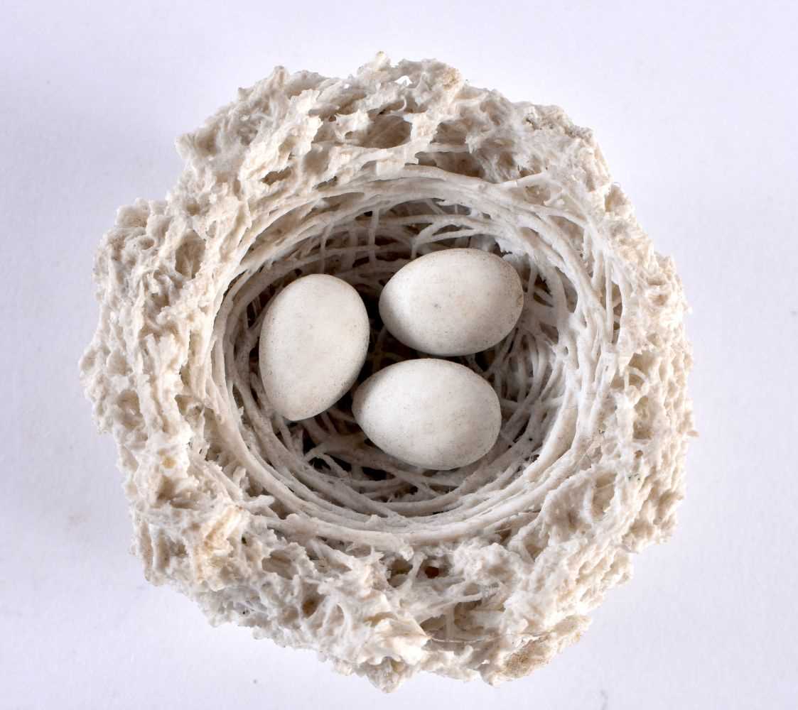 18th century or 19th century Bristol bird’s nest, the interior with woven strands and three eggs. - Image 3 of 4