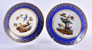 TWO 19TH CENTURY FRENCH SEVRES PORCELAIN ORNATHORLOGICAL PLATES painted with birds in landscapes.