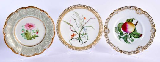 THREE MID 19TH CENTURY WORCESTER KERR & BINNS PORCELAIN PLATES of floral design. 24 cm wide. (3)