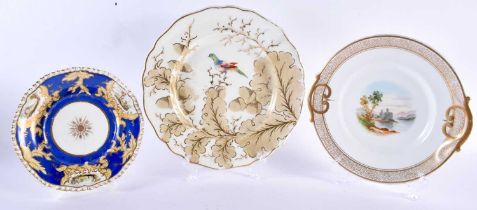 AN UNUSUAL MID 19TH CENTURY CHAMBERLAINS WORCESTER PLATE painted with a bird amongst acorns and