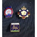 A WW2 British Primrose League conservatives Lapel badge together with vintage Young conservative