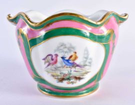 19th century Sevres style bottle cooler painted with birds with flowers verso, the ground in pink