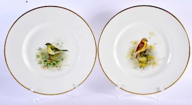 A PAIR OF ROYAL WORCESTER PORCELAIN ORNATHOLOGICAL PLATES by Townsend, painted with a Yellow bunting