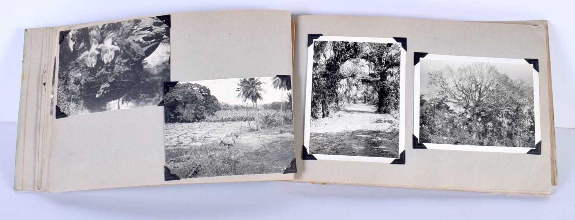 A Historic collection of 60 photographs in Albums each 20 x 25 cm, Agriculture on plantations in - Image 6 of 10