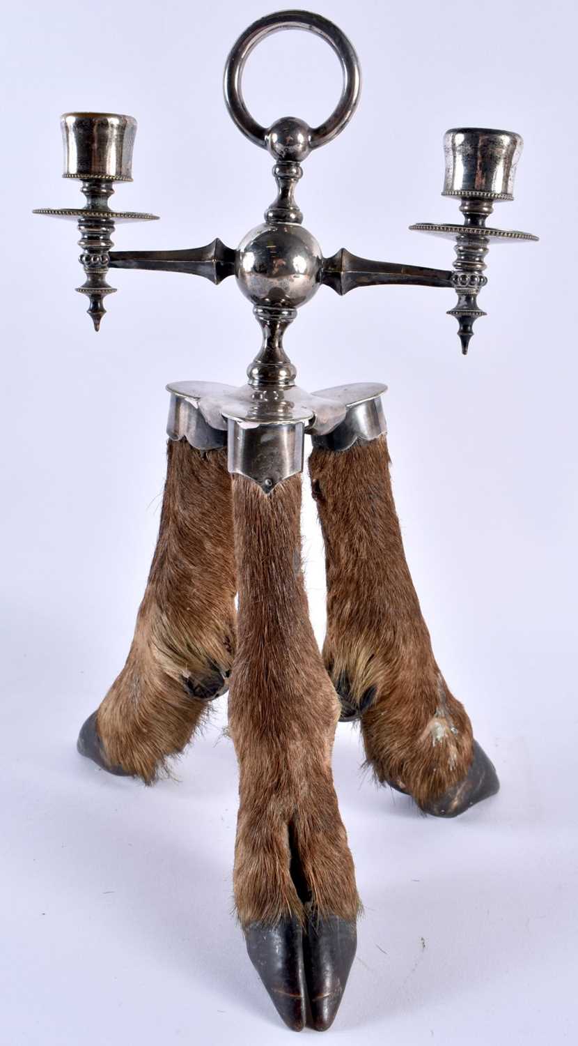 A RARE VICTORIAN TAXIDERMY ROWLAND WARD CANDLESTICK formed with three deer hooves. 32 cm x 16 cm. - Image 4 of 6