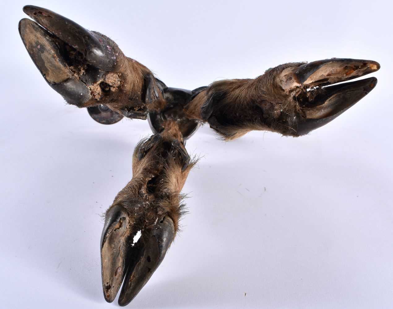 A RARE VICTORIAN TAXIDERMY ROWLAND WARD CANDLESTICK formed with three deer hooves. 32 cm x 16 cm. - Image 6 of 6