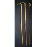 Two Rhino horn handled walking canes together with another horn cane, all have silver collars 92 cm