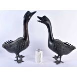 A LARGE PAIR OF 19TH CENTURY CHINESE BRONZE DUCKS Qing. 45 cm high.