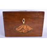 A GEORGE III MAHOGANY RECTANGULAR FORM TEA CADDY inlaid with shells to top and front, the interior