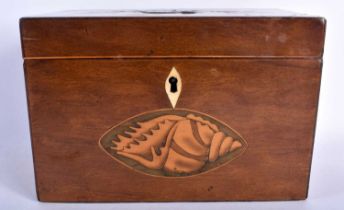 A GEORGE III MAHOGANY RECTANGULAR FORM TEA CADDY inlaid with shells to top and front, the interior
