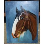 John Farmer (Australian 1897-1989) Oil on board , study of a horse 50 x 38 cm.