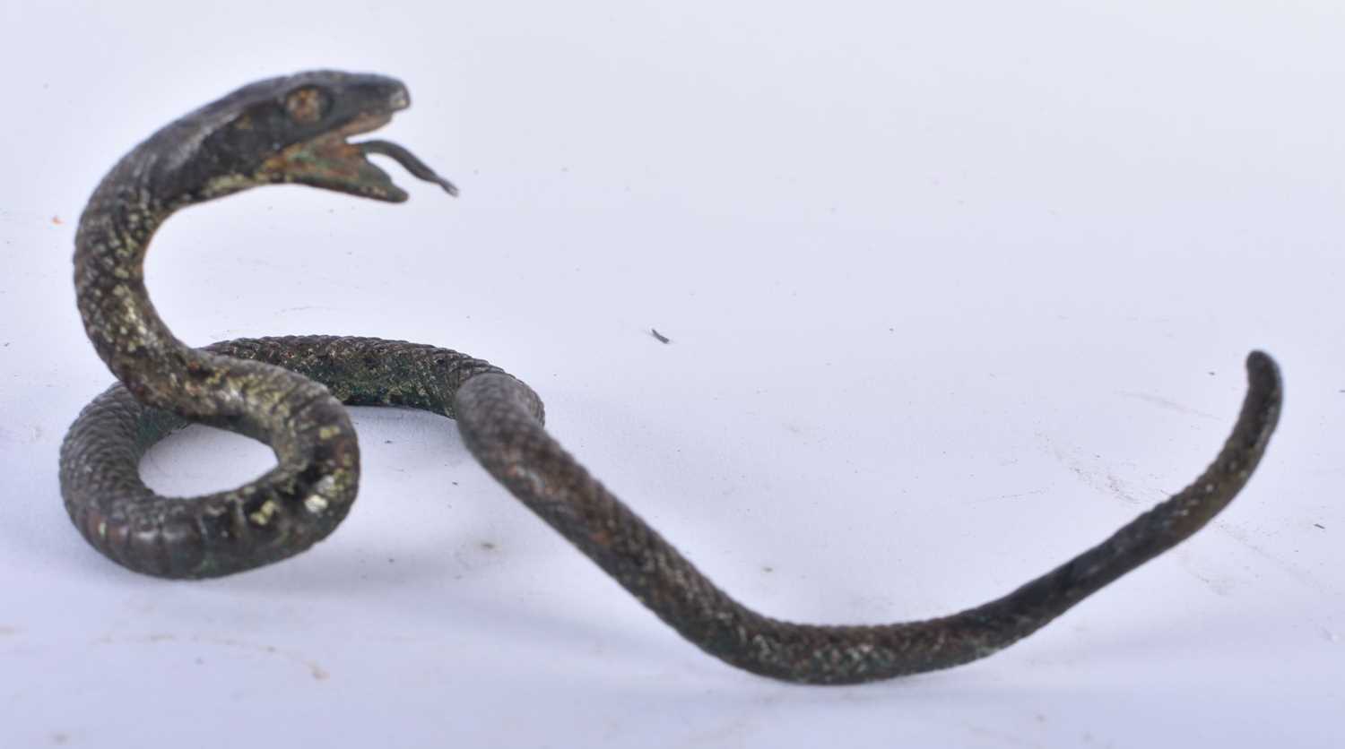 A RARE 19TH CENTURY AUSTRIAN COLD PAINTED BRONZE FIGURE OF A SNAKE Attributed to Franz Xavier - Image 3 of 7