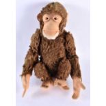A MID CENTURY POSSIBLE STEIFF MONKEY WITH SQUEAKER. 25cm high.