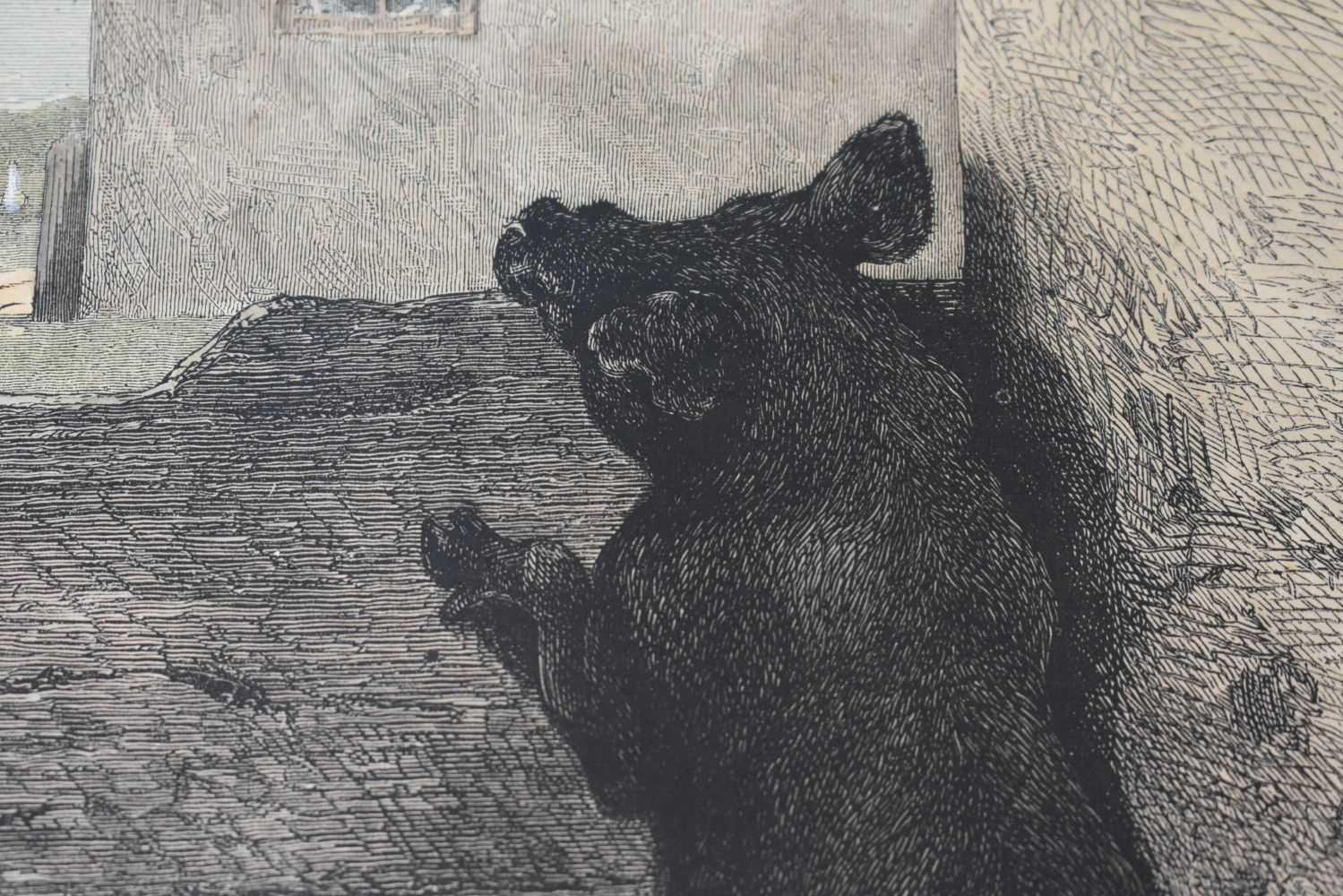 A framed etching of pigs 20 x 22 cm - Image 4 of 8