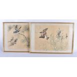 Chinese School (Early 20th Century) Pair, Ink and watercolour, birds in a landscape. 52 cm x 34 cm.