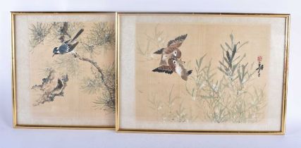 Chinese School (Early 20th Century) Pair, Ink and watercolour, birds in a landscape. 52 cm x 34 cm.