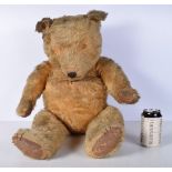 A large vintage Teddy bear with wooden joints and wood shaving stuffing 73 cm.