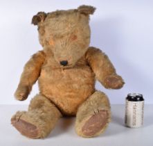 A large vintage Teddy bear with wooden joints and wood shaving stuffing 73 cm.
