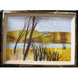 A large framed oil on board of a Mountain lake signed Mike Howes 54 x 80 cm.